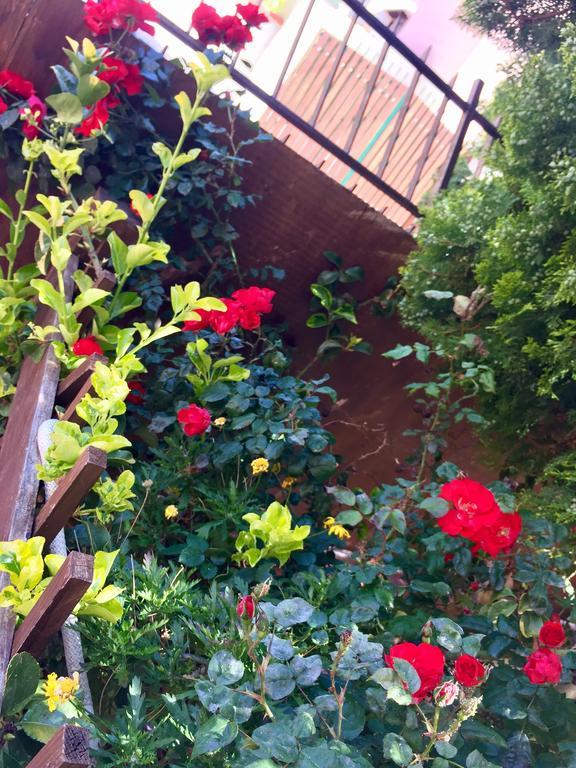 B&B Limone San Leone Bagian luar foto